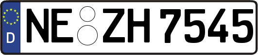 NE-ZH7545