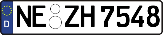 NE-ZH7548