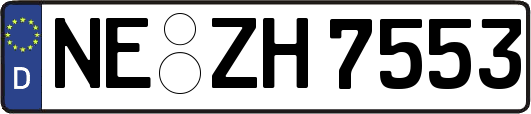 NE-ZH7553
