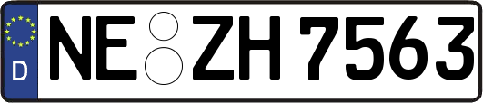 NE-ZH7563