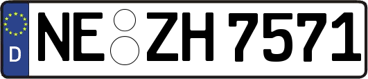 NE-ZH7571