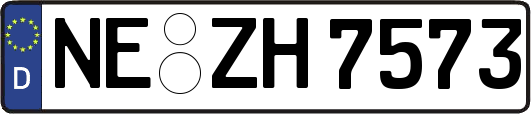 NE-ZH7573