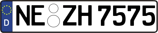 NE-ZH7575