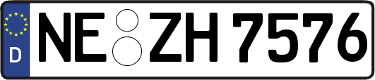 NE-ZH7576