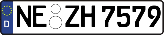 NE-ZH7579
