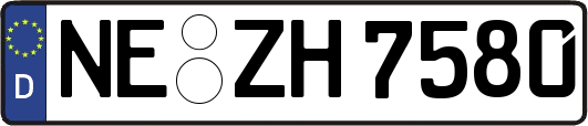 NE-ZH7580