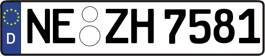 NE-ZH7581