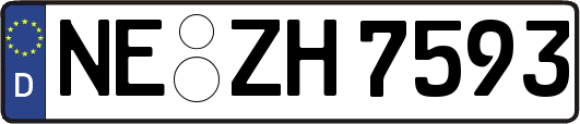 NE-ZH7593