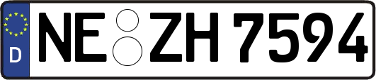 NE-ZH7594