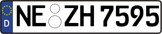 NE-ZH7595