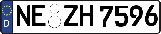 NE-ZH7596