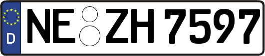 NE-ZH7597