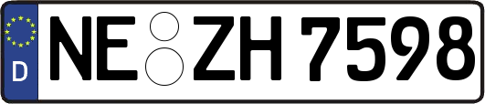 NE-ZH7598