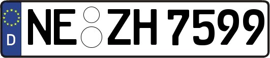 NE-ZH7599