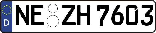 NE-ZH7603