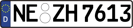 NE-ZH7613