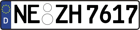 NE-ZH7617