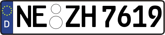 NE-ZH7619