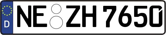 NE-ZH7650