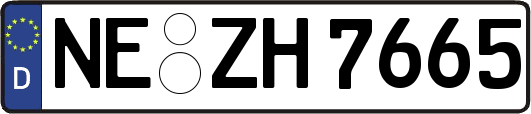 NE-ZH7665