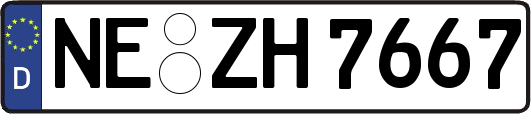 NE-ZH7667