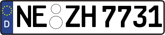 NE-ZH7731