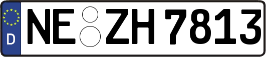 NE-ZH7813