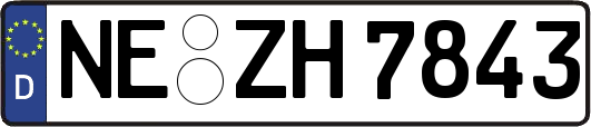 NE-ZH7843