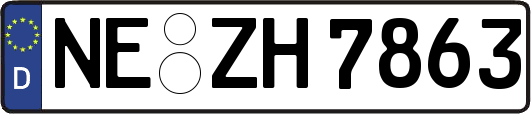 NE-ZH7863
