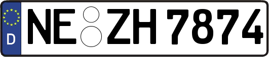 NE-ZH7874