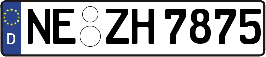 NE-ZH7875