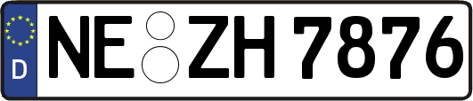NE-ZH7876