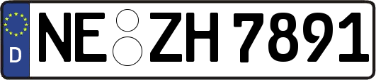 NE-ZH7891