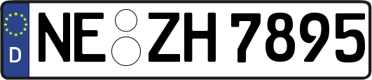 NE-ZH7895