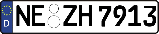 NE-ZH7913