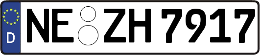 NE-ZH7917