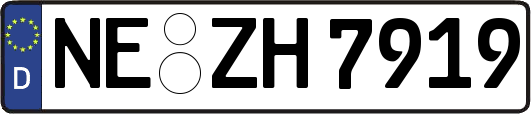 NE-ZH7919