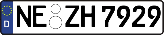 NE-ZH7929