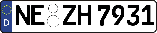 NE-ZH7931