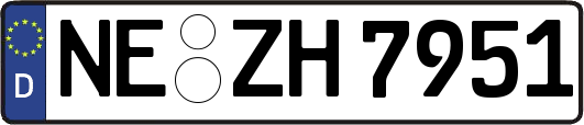 NE-ZH7951