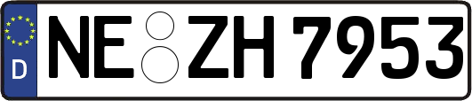 NE-ZH7953