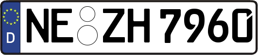 NE-ZH7960