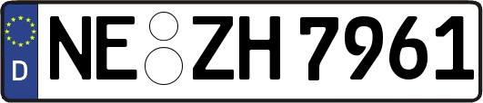 NE-ZH7961