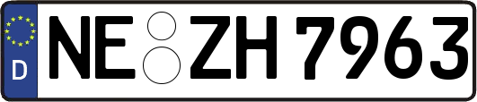 NE-ZH7963