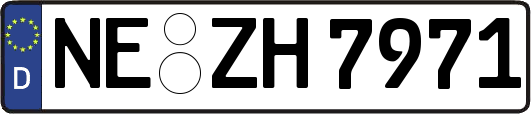 NE-ZH7971