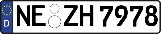 NE-ZH7978