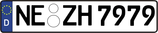 NE-ZH7979