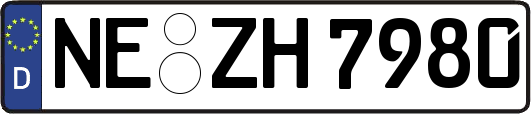 NE-ZH7980