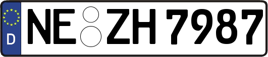 NE-ZH7987