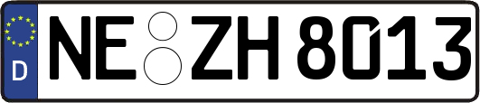 NE-ZH8013